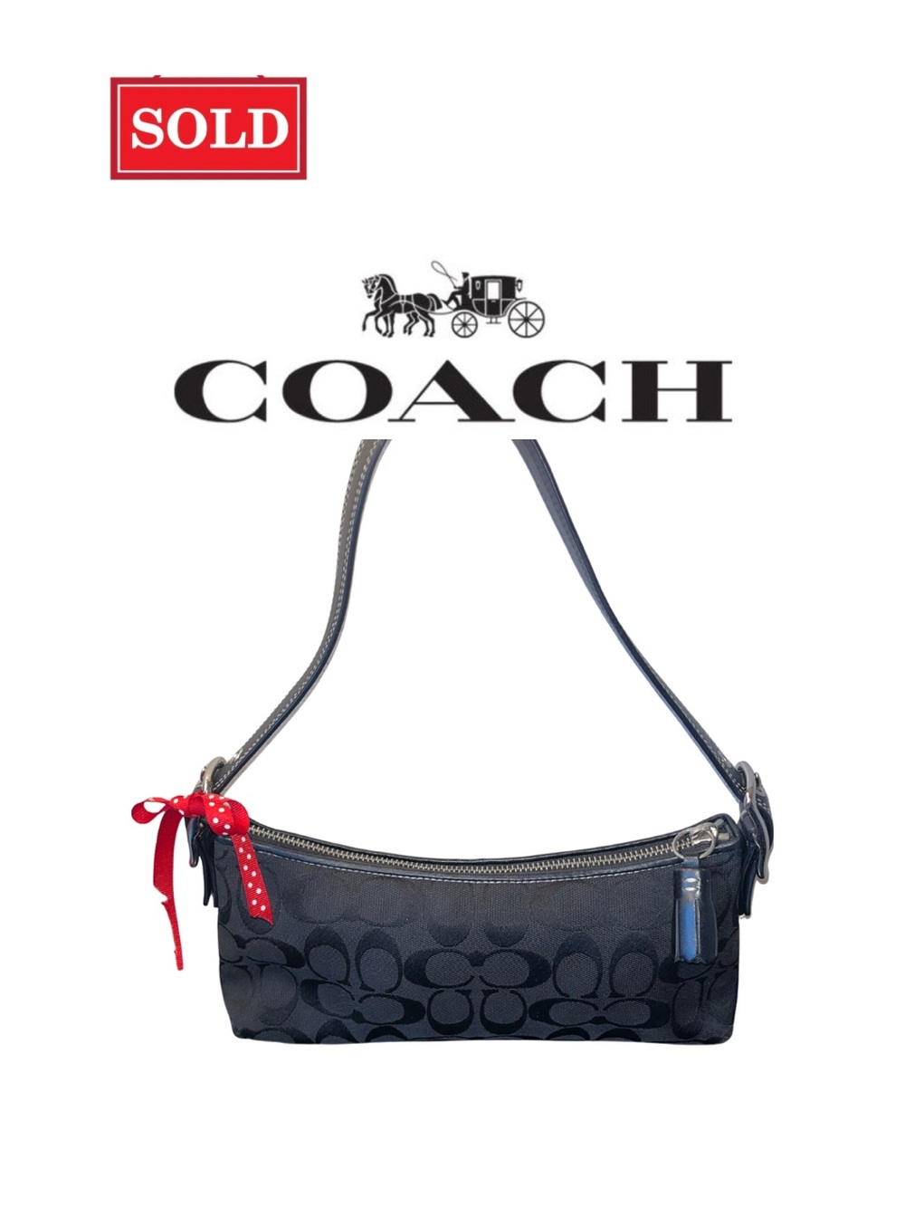 Coach Hampton Signature East West Demi Shoulder  Bag